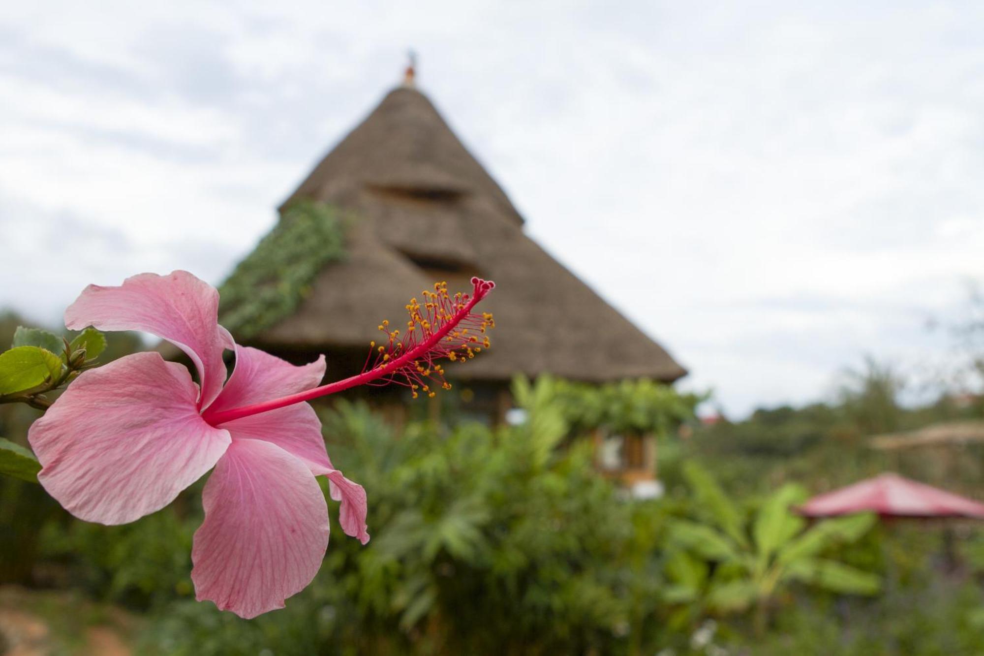 Malakai Eco Lodge Kitende Luaran gambar